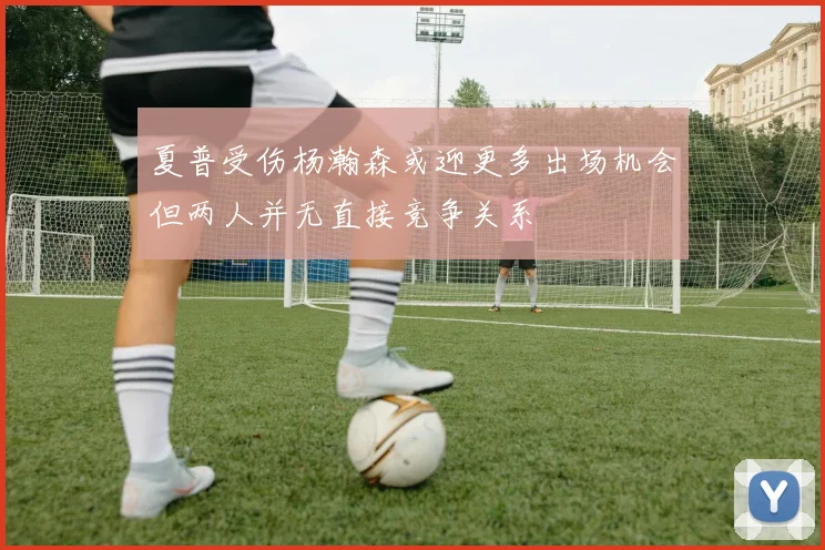 夏普受伤杨瀚森或迎更多出场机会但两人并无直接竞争关系